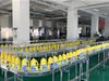 Customized Flexible Modular Conveyor System