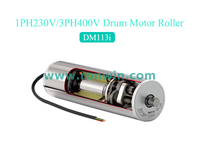 Powerful Motor Drive Roller for Light & Medium Duty Belt Conveyors